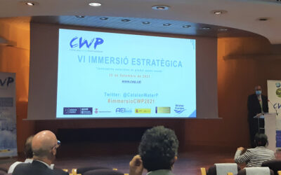 VI CWP Strategic Immersion