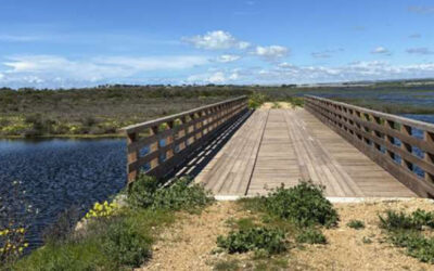 Visit to the Cuba-Longarini wetlands